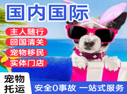 三义航空物流国际宠物托运 【国